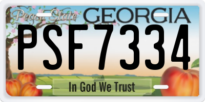 GA license plate PSF7334