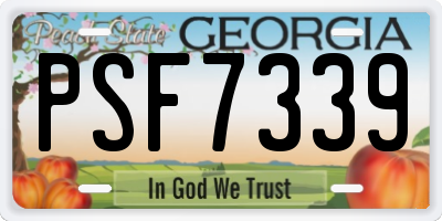 GA license plate PSF7339