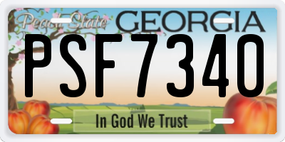 GA license plate PSF7340