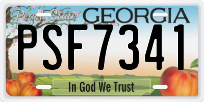 GA license plate PSF7341
