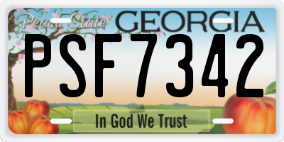 GA license plate PSF7342