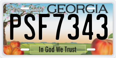 GA license plate PSF7343