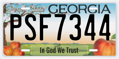 GA license plate PSF7344