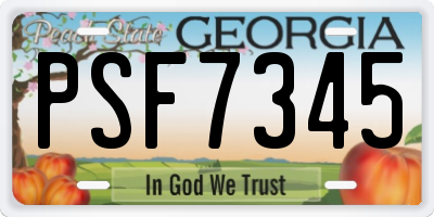 GA license plate PSF7345