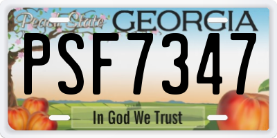 GA license plate PSF7347
