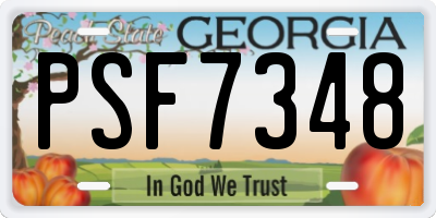GA license plate PSF7348