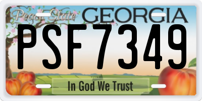 GA license plate PSF7349