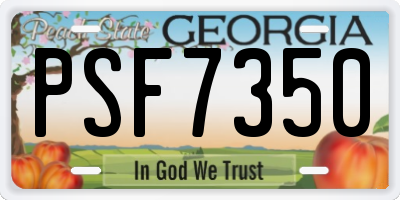 GA license plate PSF7350