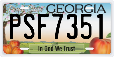 GA license plate PSF7351