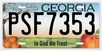 GA license plate PSF7353