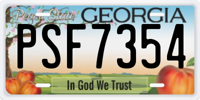 GA license plate PSF7354