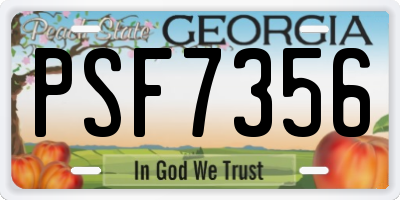 GA license plate PSF7356
