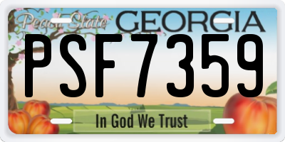 GA license plate PSF7359