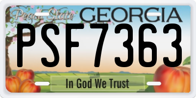 GA license plate PSF7363