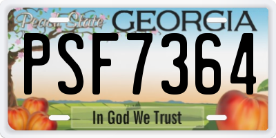 GA license plate PSF7364