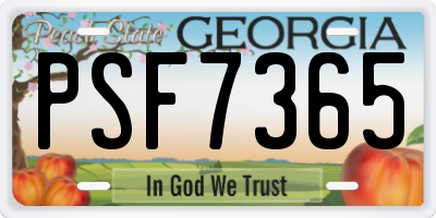 GA license plate PSF7365
