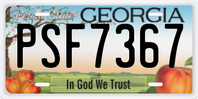 GA license plate PSF7367