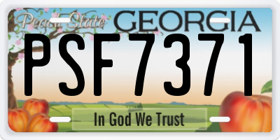 GA license plate PSF7371