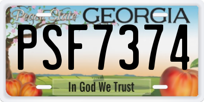 GA license plate PSF7374
