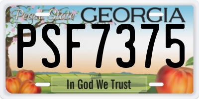 GA license plate PSF7375