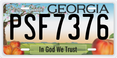 GA license plate PSF7376