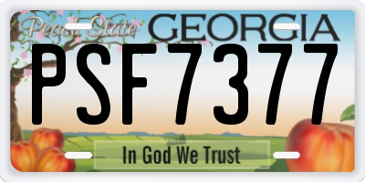 GA license plate PSF7377