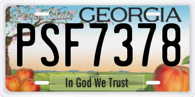 GA license plate PSF7378