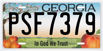 GA license plate PSF7379