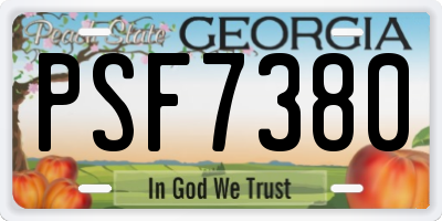 GA license plate PSF7380