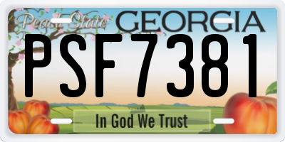 GA license plate PSF7381