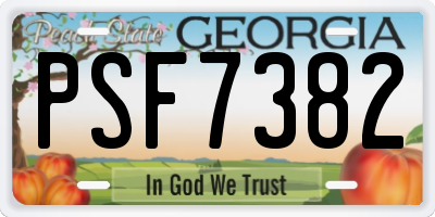 GA license plate PSF7382