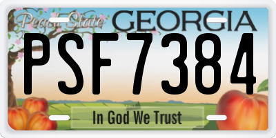 GA license plate PSF7384