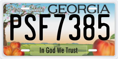 GA license plate PSF7385
