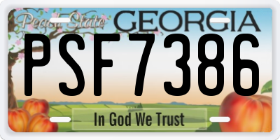 GA license plate PSF7386