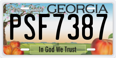 GA license plate PSF7387