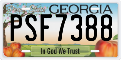 GA license plate PSF7388
