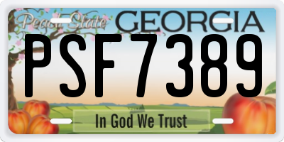 GA license plate PSF7389