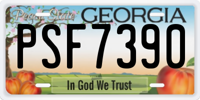 GA license plate PSF7390