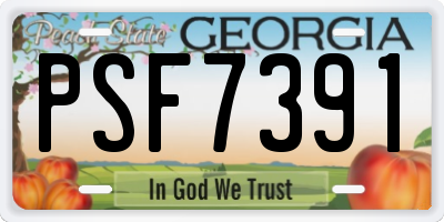 GA license plate PSF7391