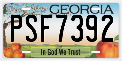 GA license plate PSF7392