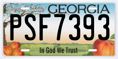 GA license plate PSF7393