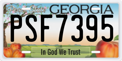 GA license plate PSF7395