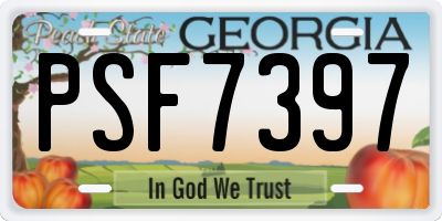 GA license plate PSF7397