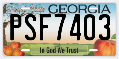 GA license plate PSF7403