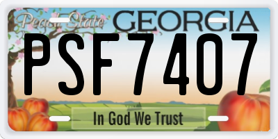 GA license plate PSF7407