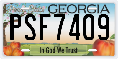 GA license plate PSF7409
