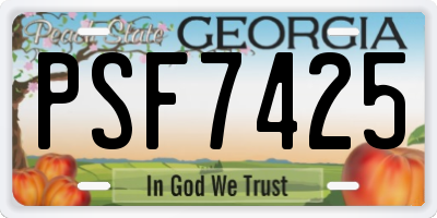 GA license plate PSF7425