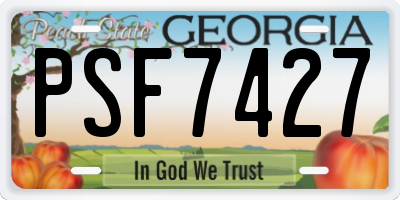GA license plate PSF7427
