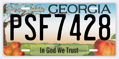 GA license plate PSF7428