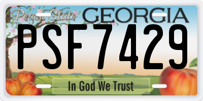 GA license plate PSF7429
